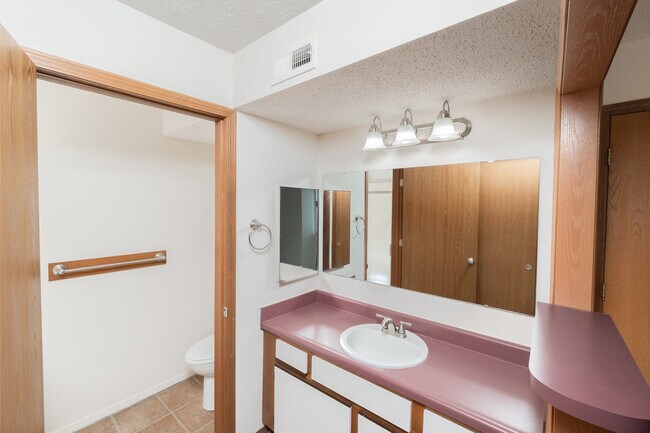 Ensuite Vanity Area