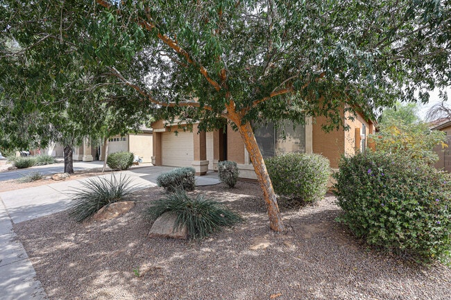 Photo - 12447 W El Nido Ln