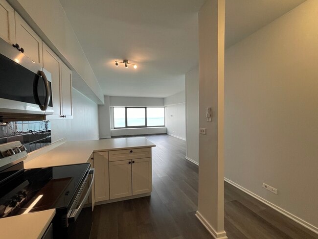 Photo - 175 E Delaware Pl Unit 5004