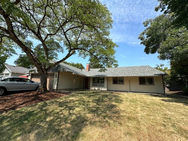 single level 3 bedroom house, Timberhill n... - single level 3 bedroom house, Timberhill n...
