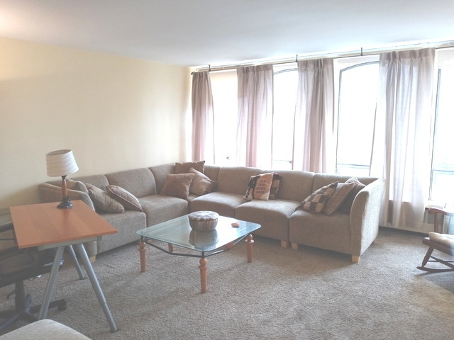 Photo - 1451 E 55th St Unit 523N