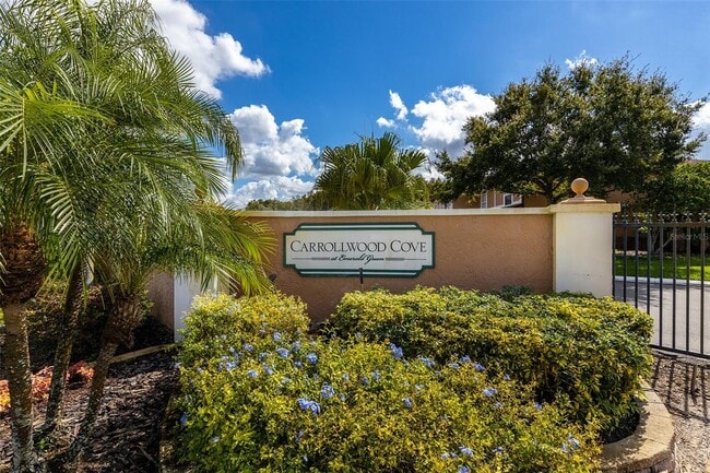 14810 Par Club Cir Unidad Par Club Cir in Carrollwood Cove