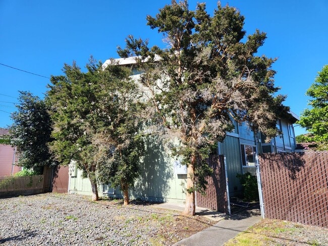 Building Photo - 3124-3130 California [PRM: Andrew] (4) Unit 3124 California [PRM: Andrew]