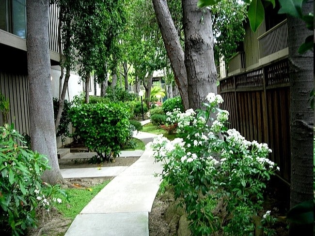 Delmonico Apartments