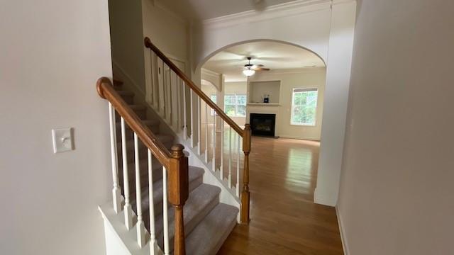 Photo - 5030 Hastings Terrace