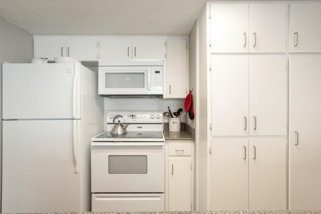 Photo - 2205 Spring Creek Dr Unit SI ID1054226P