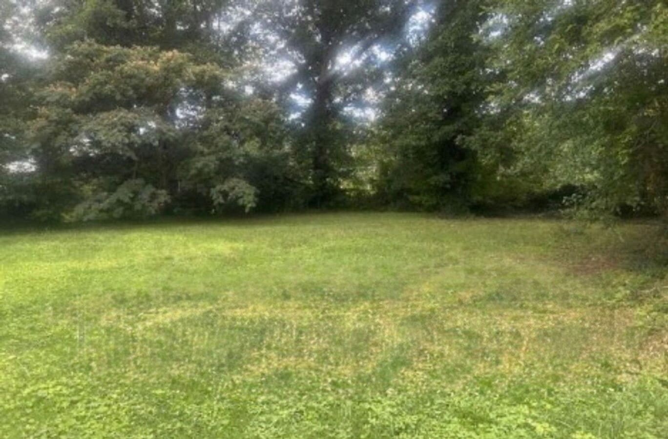 Photo - 1000 Kingsport Ln