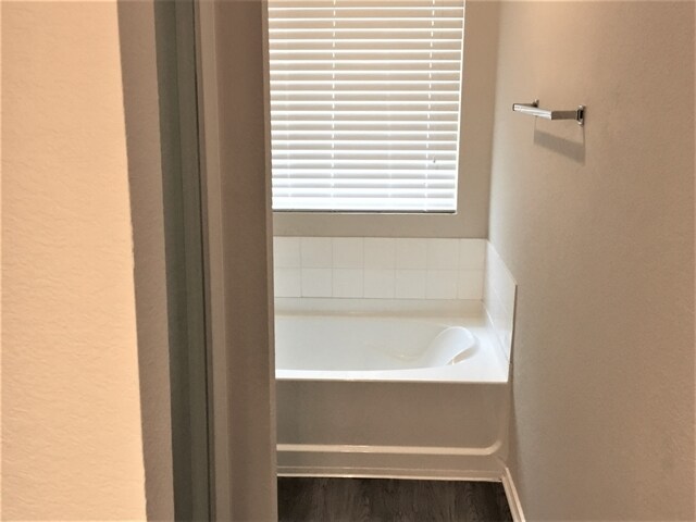 Photo - 8715 Snow Goose