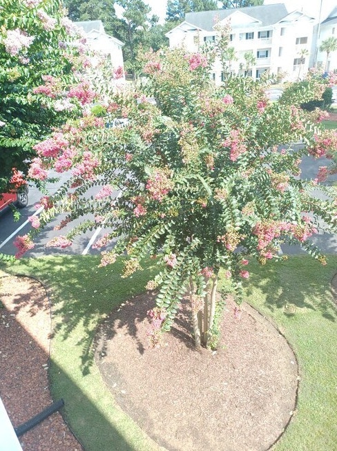 Photo - 665 Tupelo Ln Unit AberdeenCountryClub