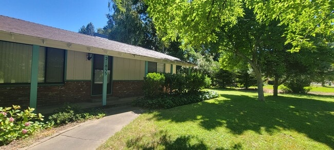 Photo - Great Palo Cedro Neighborhood