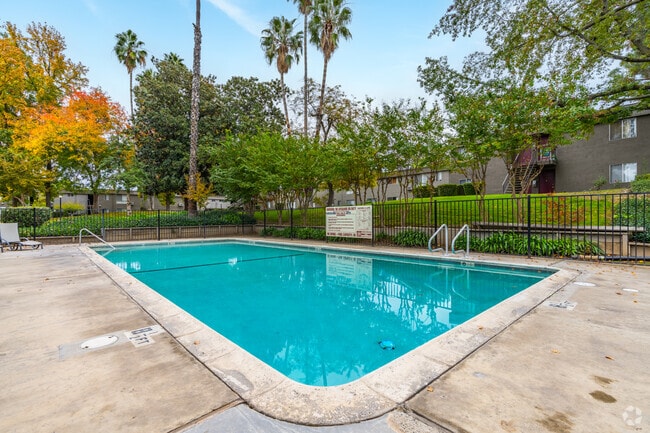 Swimming Pool - Barcelona