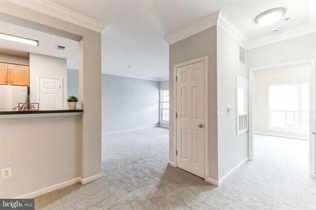 Living Room/Kitchen - 4852 Eisenhower Ave Unit Exchange at Van Dorn