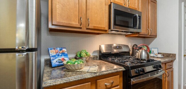 Electrodomésticos de acero inoxidable - The Morgan Apartment Homes