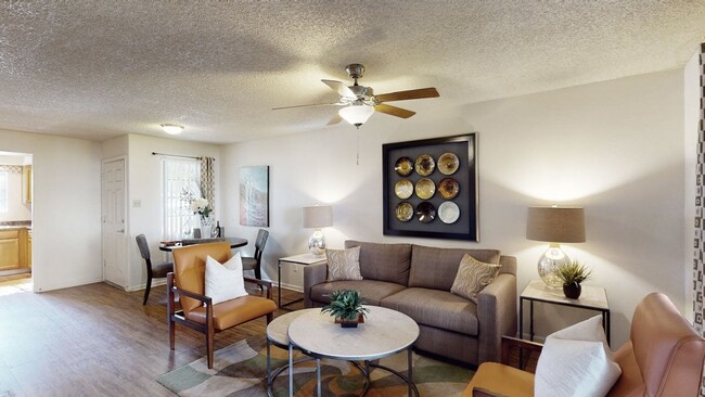 Photo - Desert Horizon