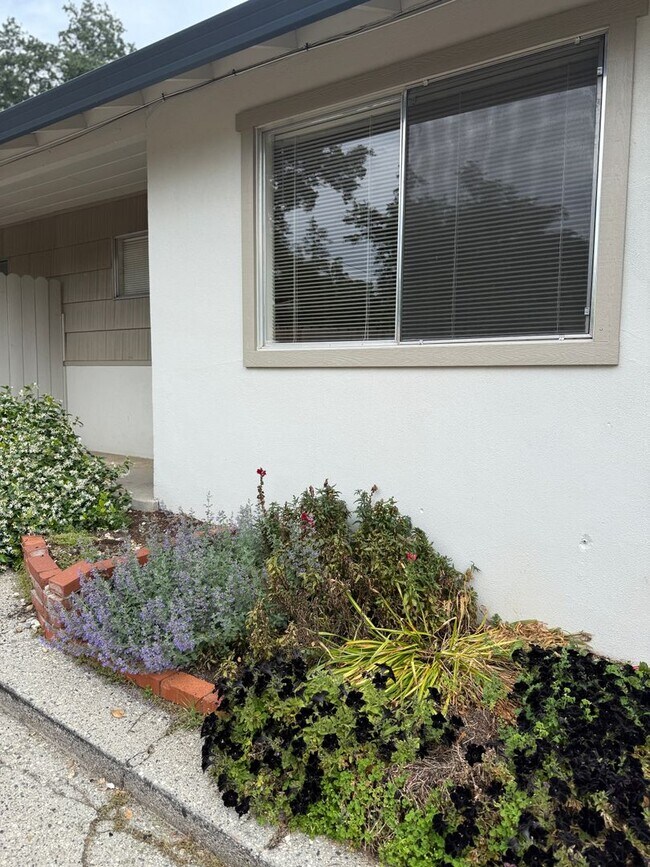 Photo - 485 Finley St