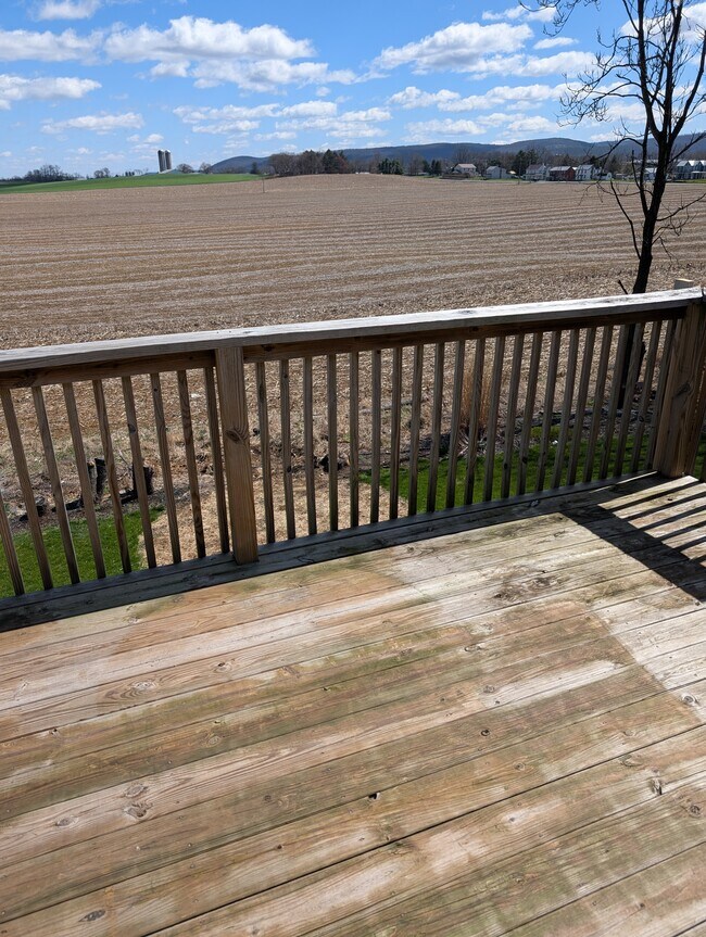 Photo - 17 Victoria Ct