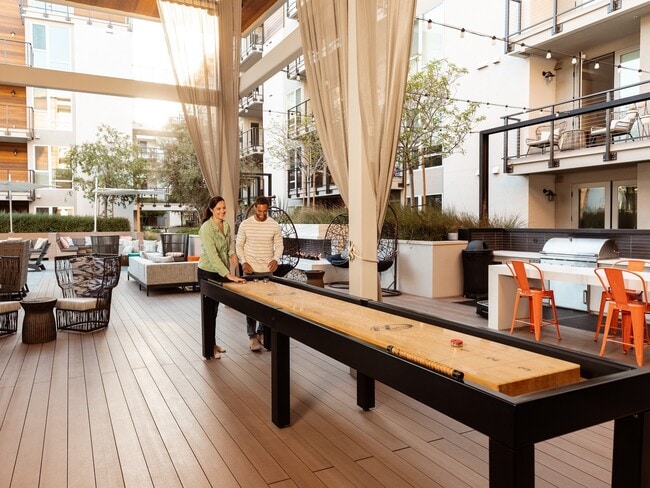 Shuffleboard