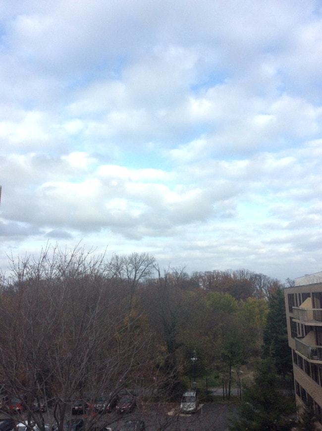 Photo - The Meridian