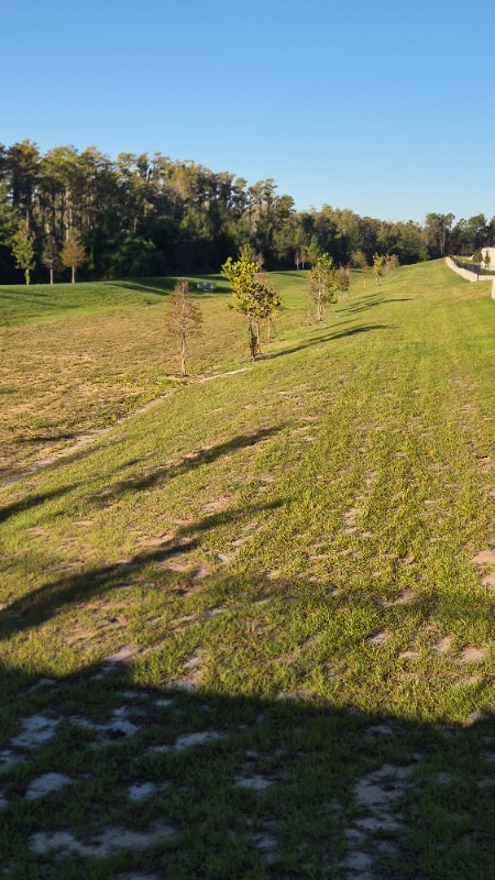 Photo - 16357 Bird of Paradise Ave