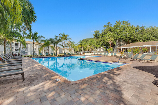 Reserve at Brandon Apartments For Rent in Brandon, FL | ForRent.com