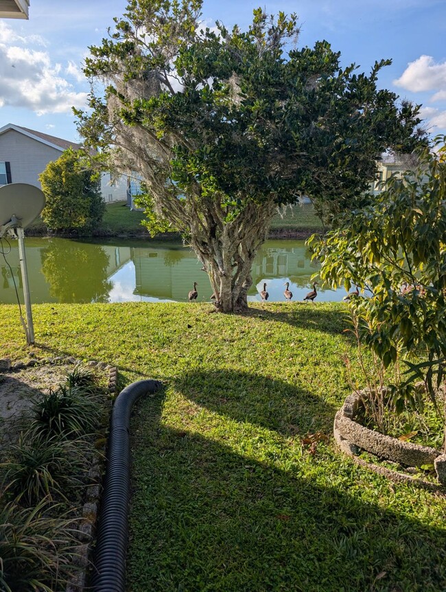 Photo - 280 Country Club Dr