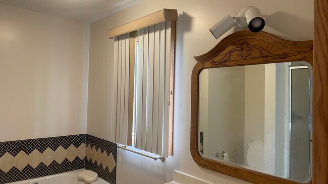 Bathroom 1 master bathroom with hot tub c - 3865 Stebner Rd