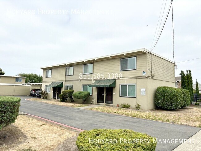 Photo - 1042 Williams St