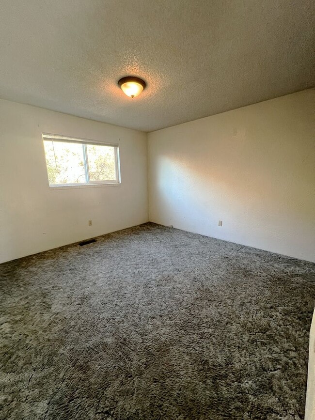 Photo - 2 Bedroom, 1 Bathroom Downstairs Duplex