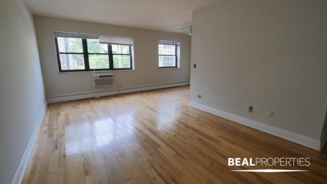 1 bedroom in CHICAGO IL 60657 - 1 bedroom in CHICAGO IL 60657 Unidad 307 Rental