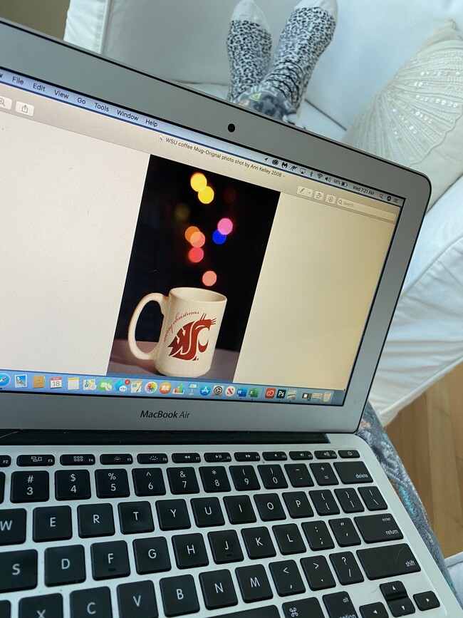 Visitas virtuales disponibles - REANEY PARK APTS