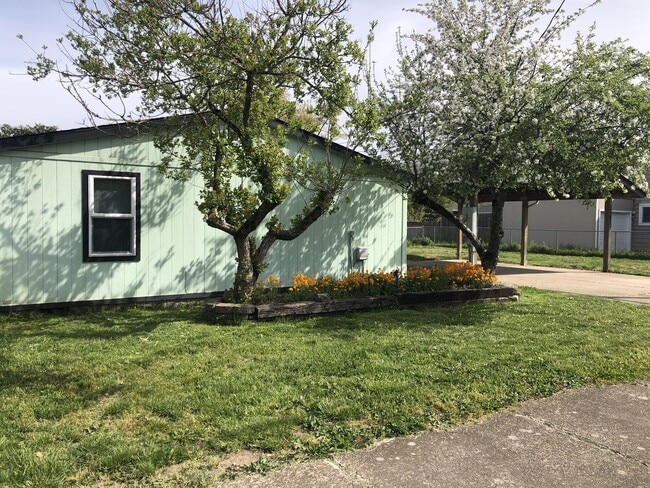 Photo - 167 W Rose St