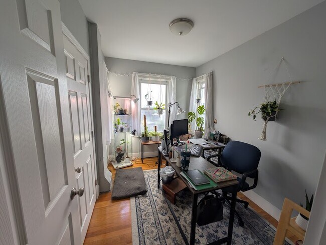 Photo - 11 Kearney St