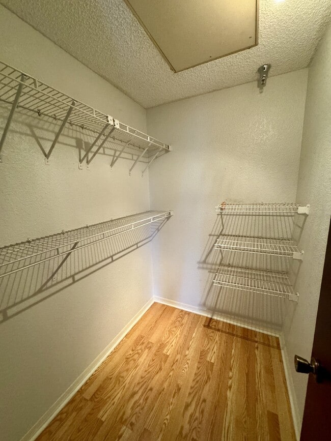 Photo - "Charming 1-Bedroom Retreat in St. Petersburg - Modern Comfort with 729 Sq Ft of Cozy Living!" Unit 1802