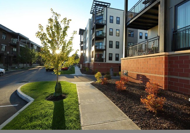 Excelsior Park Apartments