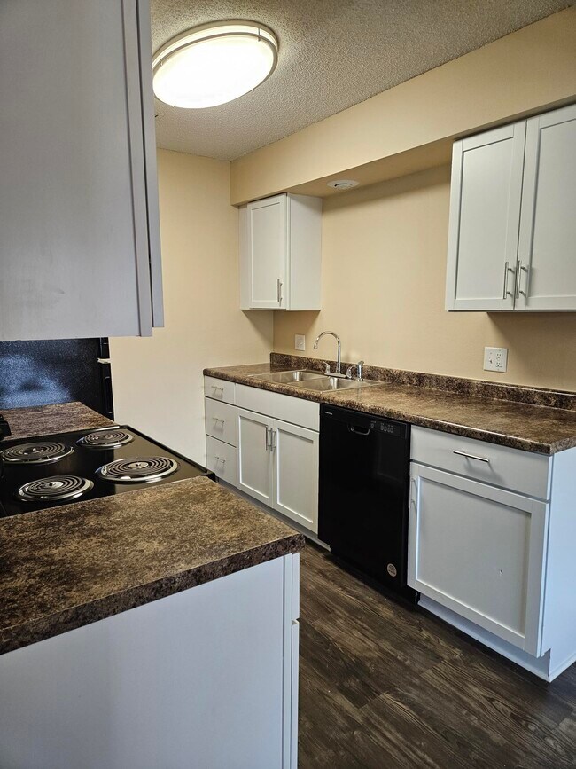 UPGRADED APT/TH kitchen