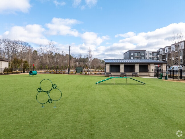 Dog Park