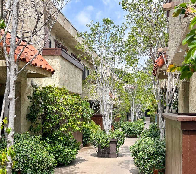 11825 Magnolia Apartments