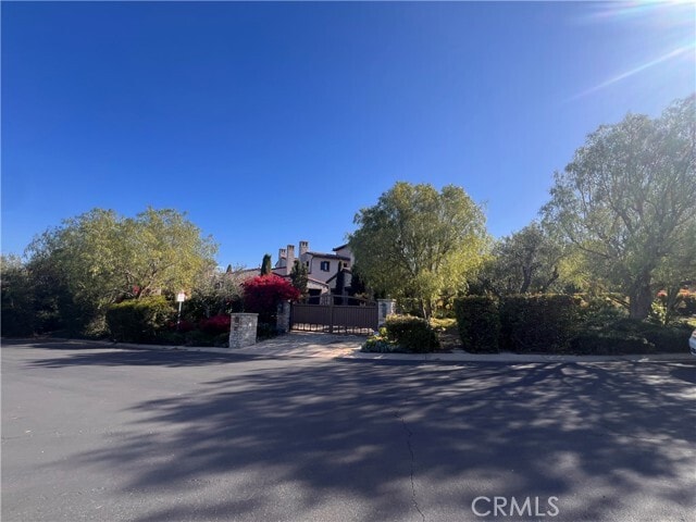 Photo - 21 Jewel Flower