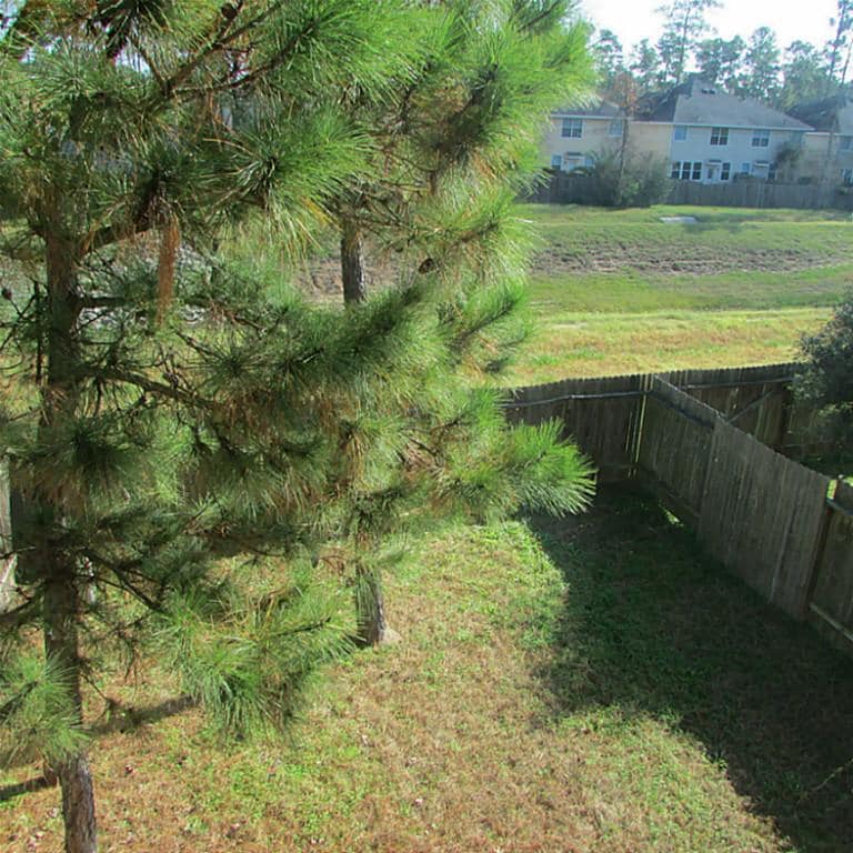 Photo - 199 W Stedhill Loop