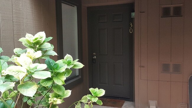 Photo - Lovely 1bd. Ground-Level Condo in Cotati