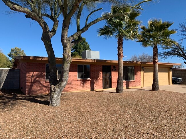 Front yard - 607 N De Medici Pl Casa
