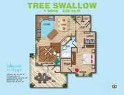 Tree Swallow A