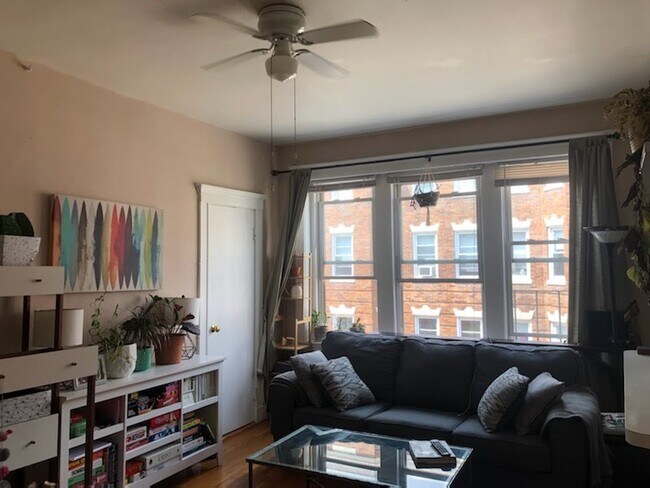 Photo - 213 Kelton St Condo