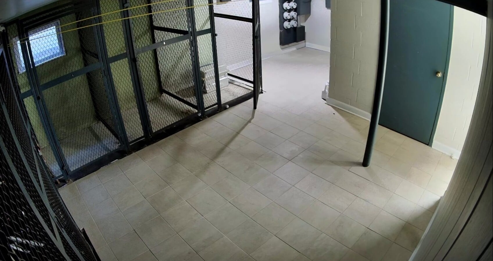 Photo - 8614 W Berwyn Ave