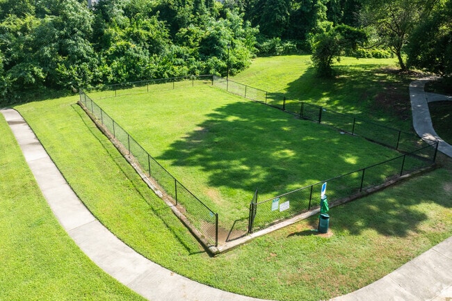 Dog Park