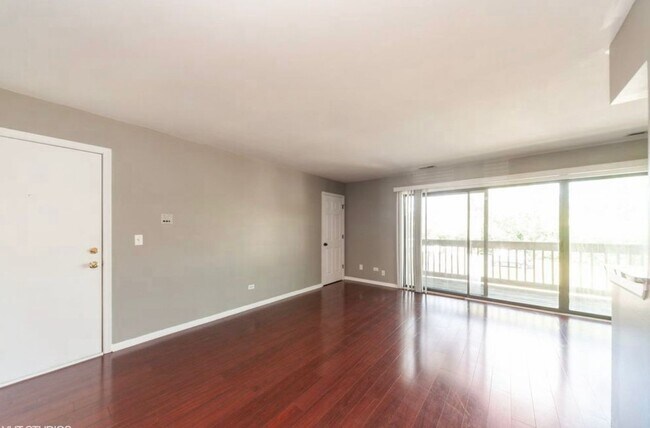 209 W Court of Shorewood Condo Unit 2A Condo for Rent in Vernon Hills 209 W Court of Shorewood Condo Unit 2A Condo for Rent in Vernon Hills
