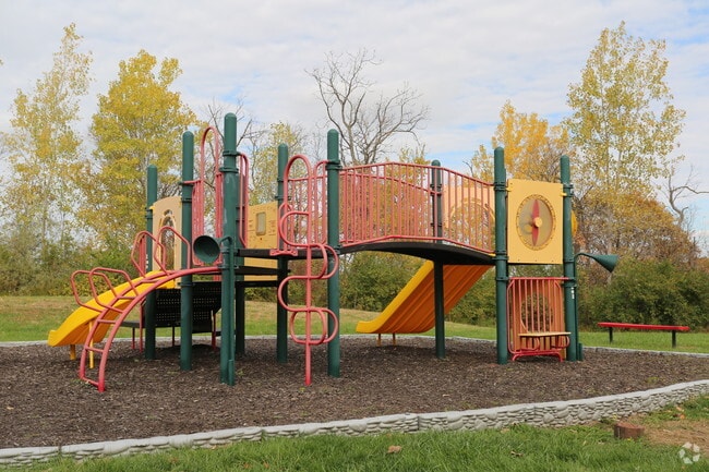 Play Ground
