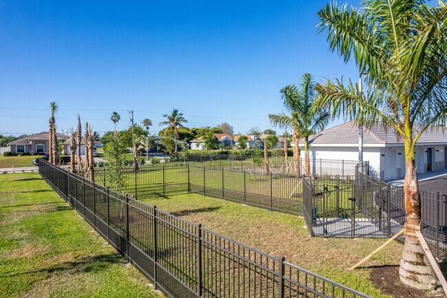 Dog Park