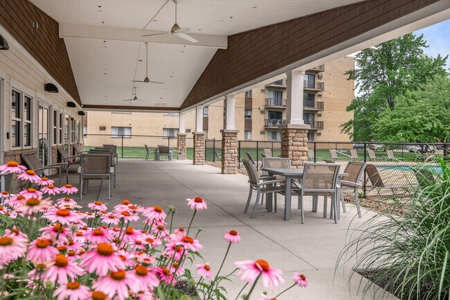 Photo - Chestnut Lake