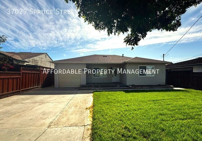 Photo - 37029 Spruce St Casa